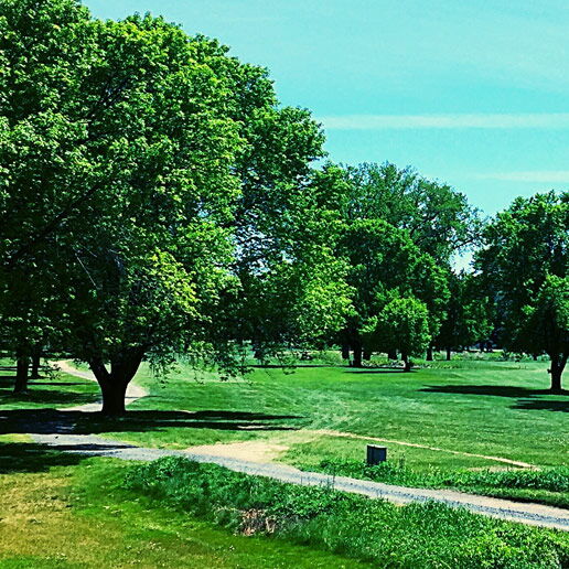 Golf course expansion